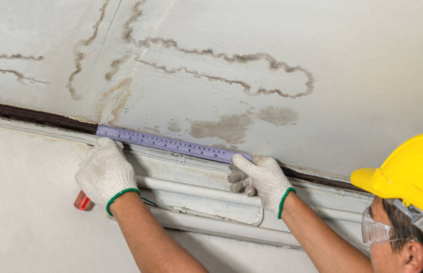 Reliable Water Damage contractor in Sequim, WA by Water Damage Irwin